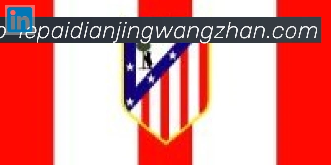 乐派电竞官方网站合作伙伴